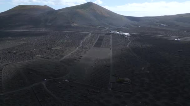 向右旋转的无人驾驶兰萨罗特酒种植拉吉里耶葡萄园火山2023天 优质4K Uhd电影胶片 — 图库视频影像