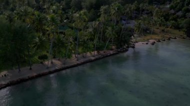 Panorama yörüngesindeki insansız hava aracı palmiye plajı koh kood adası. Tayland sabahı. Gün doğumu 2022..