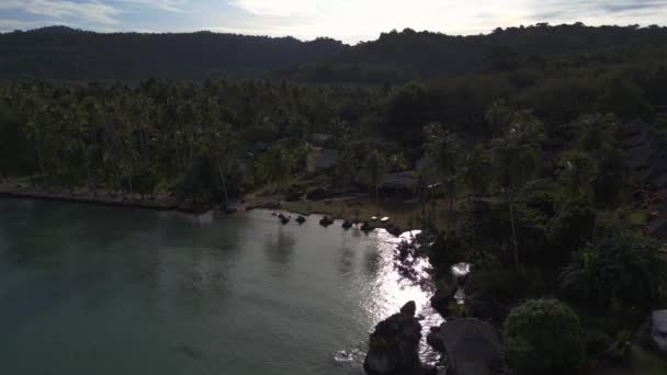 Pull Drone Palm Tree Beach Koh Kood Ostrov Thajsko Ráno — Stock video