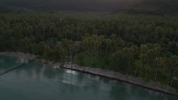 Panoramica Panoramica Drone Palma Spiaggia Koh Kood Isola Thailandia Mattina — Video Stock