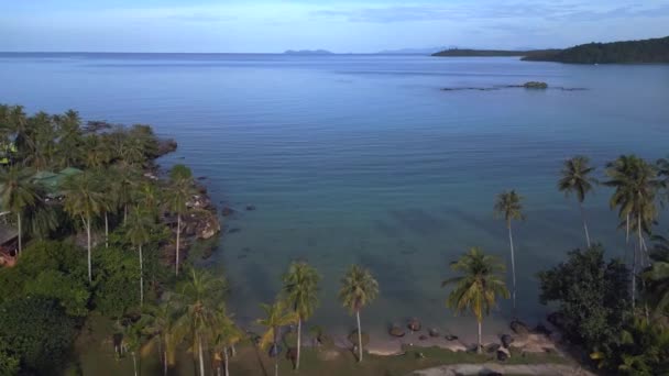 Fliegen Über Drohne Palmenstrand Koh Kood Insel Thailand Morgen Vor — Stockvideo