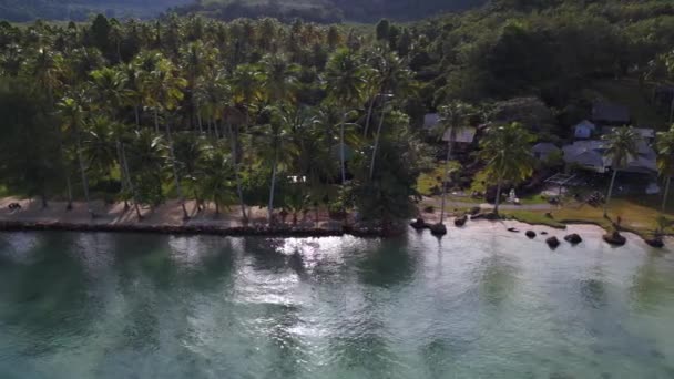 Boom Przesuwne Prawej Palmy Drone Plaża Koh Kood Wyspa Tajlandia — Wideo stockowe