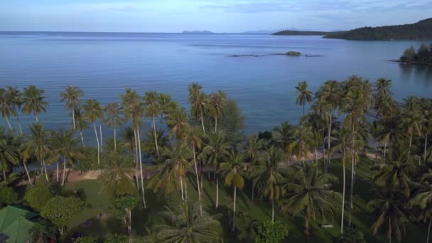 Boom Sliding Right Drone Palm Tree Beach Koh Kood Island — Stok Video