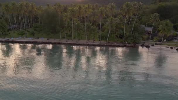 Boom Przesuwne Lewej Palmy Drone Plaża Koh Kood Wyspa Tajlandia — Wideo stockowe