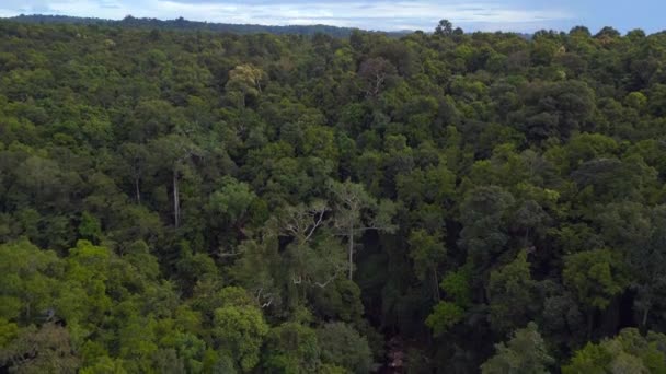 タイのジャングルの滝コッド島のKhlong Yai Kee湖2022パノラマの概要ドローン4K Hudシネマティックフッテージ — ストック動画