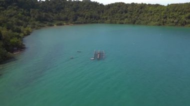 Orman adası Koh Chang Tayland ve 2022 geniş yörünge görüntüleme insansız hava aracı 4k uhd sinematik görüntü.
