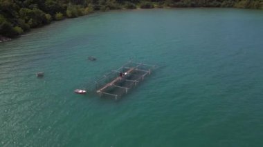 Orman adası Koh Chang Tayland ve 2022 Panorama Yörüngesi insansız hava aracı 4k uhd sinematik görüntü.