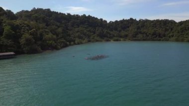 Orman adası koh chang thailand 2022 İHA 'nın tepesi aşağı 4k... sinematik görüntü..