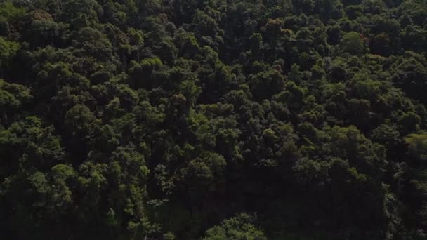 Jungle Île Koh Chang Thailand 2022 Drone Caméra Pointant Vers — Video