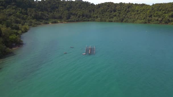 Giungla Isola Koh Chang Thailandia 2022 Ampia Orbita Panoramica Drone — Video Stock