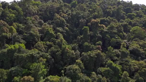 Wyspa Dżungli Koh Chang Tajlandia 2022 Boom Przesuwne Prawej Drona — Wideo stockowe