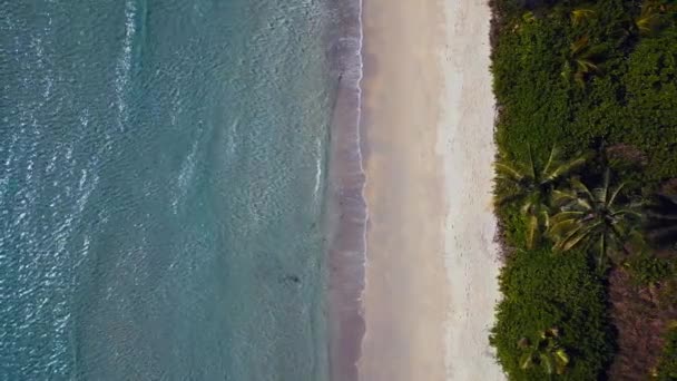 Paradise Island Koh Kood Dream Beach Phrao Thailand 2022 Vertical — Stok Video