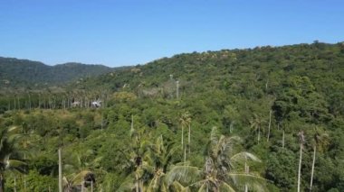 Cennet Adası Koh Kood Rüyası Plajı Ao Phrao, Tayland 2022 İHA 4k ters uçakla sinematik görüntüler..