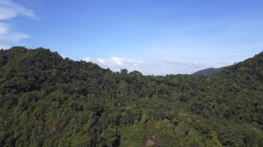 Kumsaldaki ormandaki kulübeler Koh Chang Tayland ve 2022 İHA 4k sinematik görüntüler..
