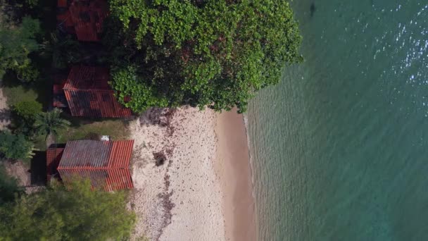 Καμπίνες Στη Ζούγκλα Στην Αμμώδη Παραλία Νησί Koh Chang Ταϊλάνδη — Αρχείο Βίντεο