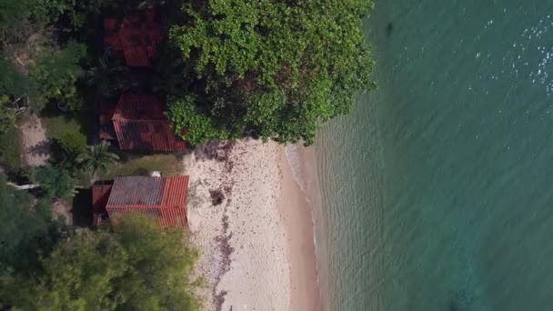 Cabanas Selva Praia Areia Ilha Koh Chang Tailândia 2022 Aves — Vídeo de Stock