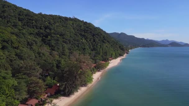 Hutten Jungle Zandstrand Eiland Koh Chang Thailand 2022 Fly Reverse — Stockvideo