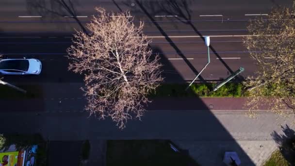 Distretto Mitte Germania Primavera 2023 Inclinare Drone Uhd Filmato Cinematografico — Video Stock