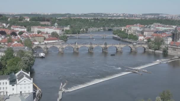 Czech Republic River Danube Prague Charles Bridge Spring 2023 Panorama — ストック動画
