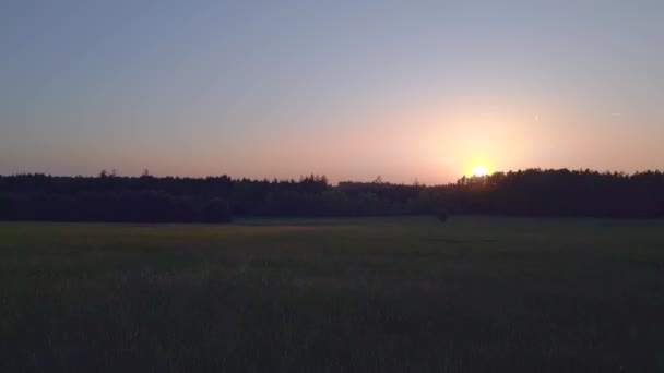 Field Sunset Vacation Paradise Village Stankov Czech Republic Summer 2023 — Stock Video