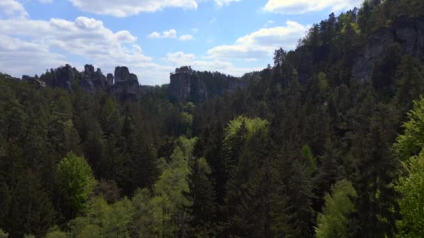 Bohemian Παράδεισος Λόφο Δάσος Βράχια Τσεχία Άνοιξη 2023 Στατικό Τρίποδο — Αρχείο Βίντεο