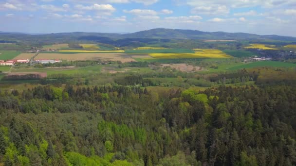 Bohemiskt Paradis Kulle Skog Stenar Tjeckisk Republik Våren 2023 Rotation — Stockvideo