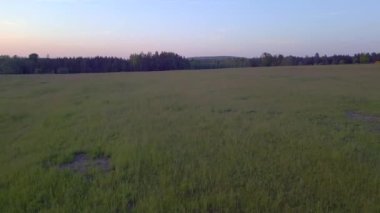 Çek Cumhuriyeti 'nin Stankov kentindeki cennet köyünde günbatımında orman ormanı, 2023 yazında Hız rampası hızlandırılmış zaman atlaması 4K UHD görüntüleri..