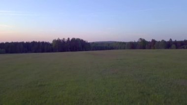 Çek Cumhuriyeti 'nin Stankov kasabasında günbatımında orman ormanı, 2023 yazında sağ İHA 4K UHD görüntülerine kayıyor..