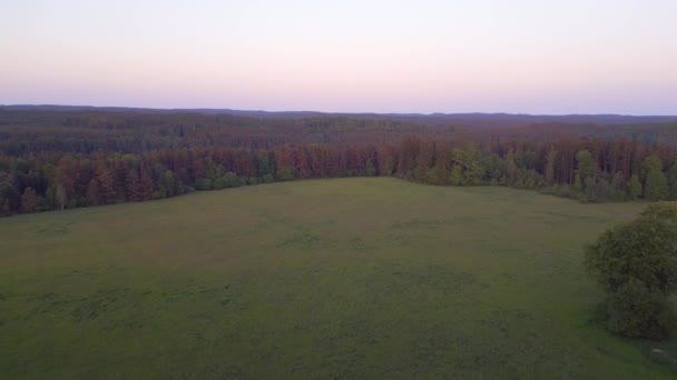 Hutan Hutan Saat Matahari Terbenam Desa Surga Stankov Republik Ceko — Stok Video