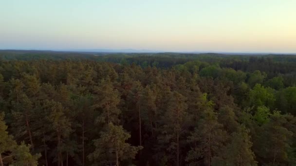 Lasy Leśne Zachodzie Słońca Rajskiej Wiosce Stankov Czechach Lato 2023 — Wideo stockowe