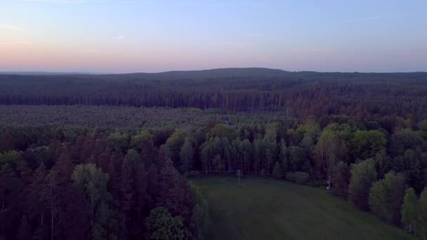 Foresta Boschi Tramonto Paradiso Villaggio Stankov Repubblica Ceca Estate Del — Video Stock