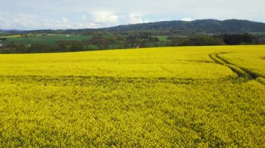 Bohem Cennet Köyü Czech Cumhuriyeti baharı 2023 hız rampası Hiperlapse zaman aşımı yüksek kalite 4k sinematik görüntü. 