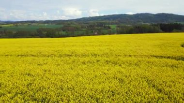 Köy bohem cenneti bölgesi Czech Cumhuriyeti, 2023 baharı uçuş üstü insansız hava aracı yüksek kalite 4k -- sinematik görüntü. 