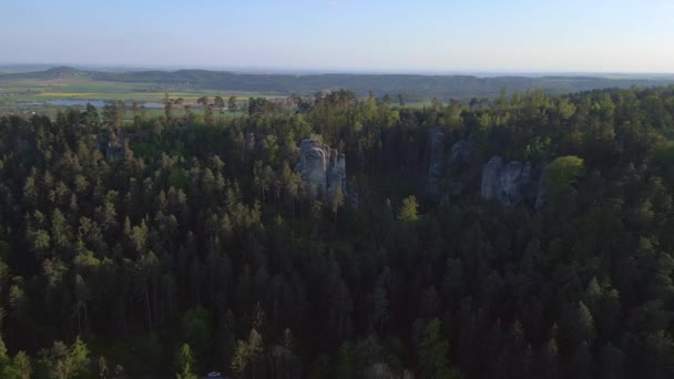 Berg Dallandschap Tsjechische Republiek Prachov Rotsen Bergen Natuur Boheemse Heuvels — Stockvideo