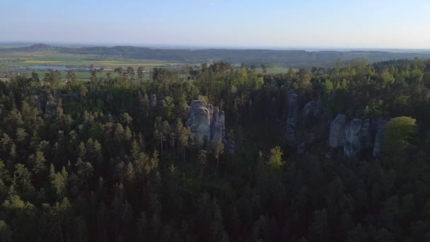 山と谷の風景 Czech Republic Prachov Rocks Mountains Nature Bohemian Hills Paradise — ストック動画