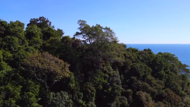 Jak Sahil Koyu Lagünündeki Doğal Cennet Kut Tayland Yazı 2022 — Stok video