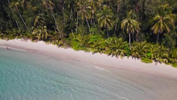 Jak Strand Baai Lagune Natuurlijk Paradijs Kut Thailand Zomer 2022 — Stockvideo