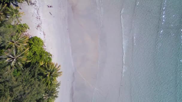 Лагуна Пляжу Голідей Рай Таїланд Літо 2022 Vertical Birds Eye — стокове відео