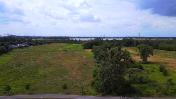 Bocian Biały Letnim Polu Brandenburgia Havelland Niemcy 2023 Przegląd Panoramy — Wideo stockowe