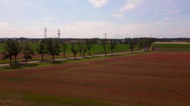 Kırmızı poppyfield kırsal alan yaz çayırı. Brandenburg Havelland Almanya 2023 sağ İHA 4K sineması rotasyonu.