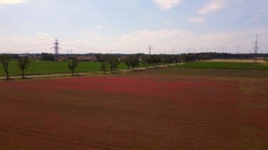 Kırmızı poppyfield kırsal alan yaz çayırı. Brandenburg Havelland Almanya 2023 panorama genel bakış İHA 4K sinemasal.