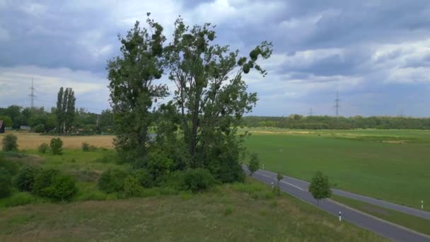 Krajina Stromy Letní Pole Zelená Louka Mraky Velké Obloze Braniborsko — Stock video