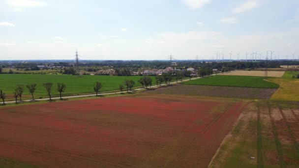 赤いポピー畑農村部の夏の牧草地 Brandenburg Havelland Germany 2023 Panorama Overview Drone Cinematic — ストック動画