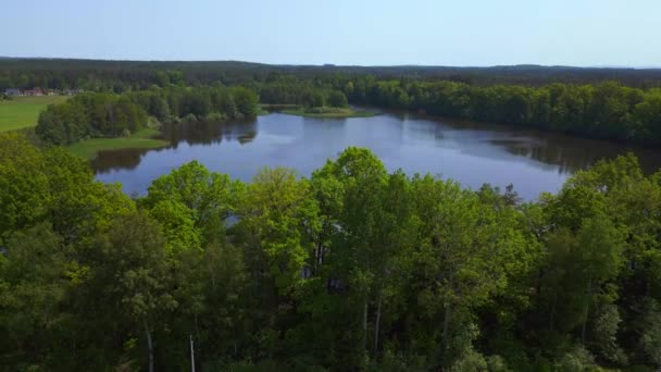 Lac Pășune Pădure Câmp Vară Satul Chlum Republica Cehă 2023 — Videoclip de stoc