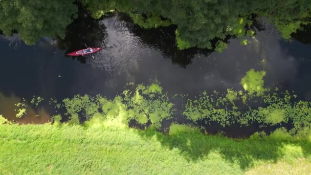 家族の休暇 自然川での赤いパドルボート 2023 ドイツ 縦の鳥の目視ドローン4Kの映画館 — ストック動画