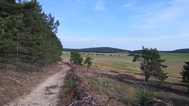 Florestas Montanhosas Saúde Campos Verão Otto Lilienthal Gollenberg Brandenburg Alemanha — Vídeo de Stock