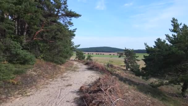 Kopcovité Lesy Letní Pole Otto Lilienthal Gollenberg Braniborsko Německo Přelet — Stock video