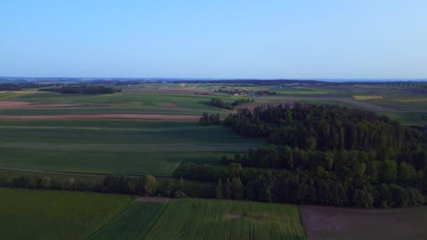 Jaktstue Austria Felt Engkevei Natur Paradis Solnedgang Sommerkveld 2023 Hastighet – stockvideo