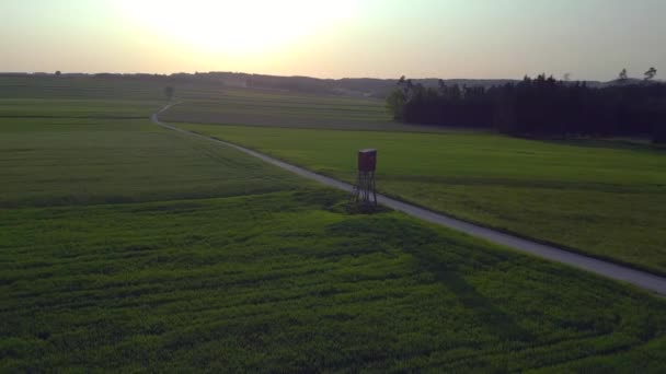 Охотничий Киоск Austria Field Meadow Road Nature Paradise Sunset Summer — стоковое видео