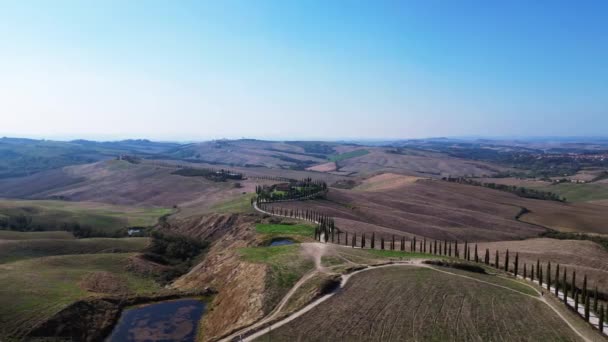 Italien Cypresses Väg Landsbygd Gränd Toscana Hastighet Ramp Hyperlapse Motionlapse — Stockvideo